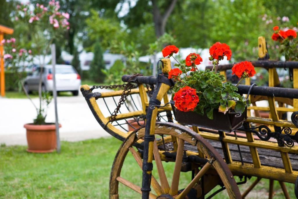 Balaton Eldorado Camping Badacsonytordemic Bagian luar foto